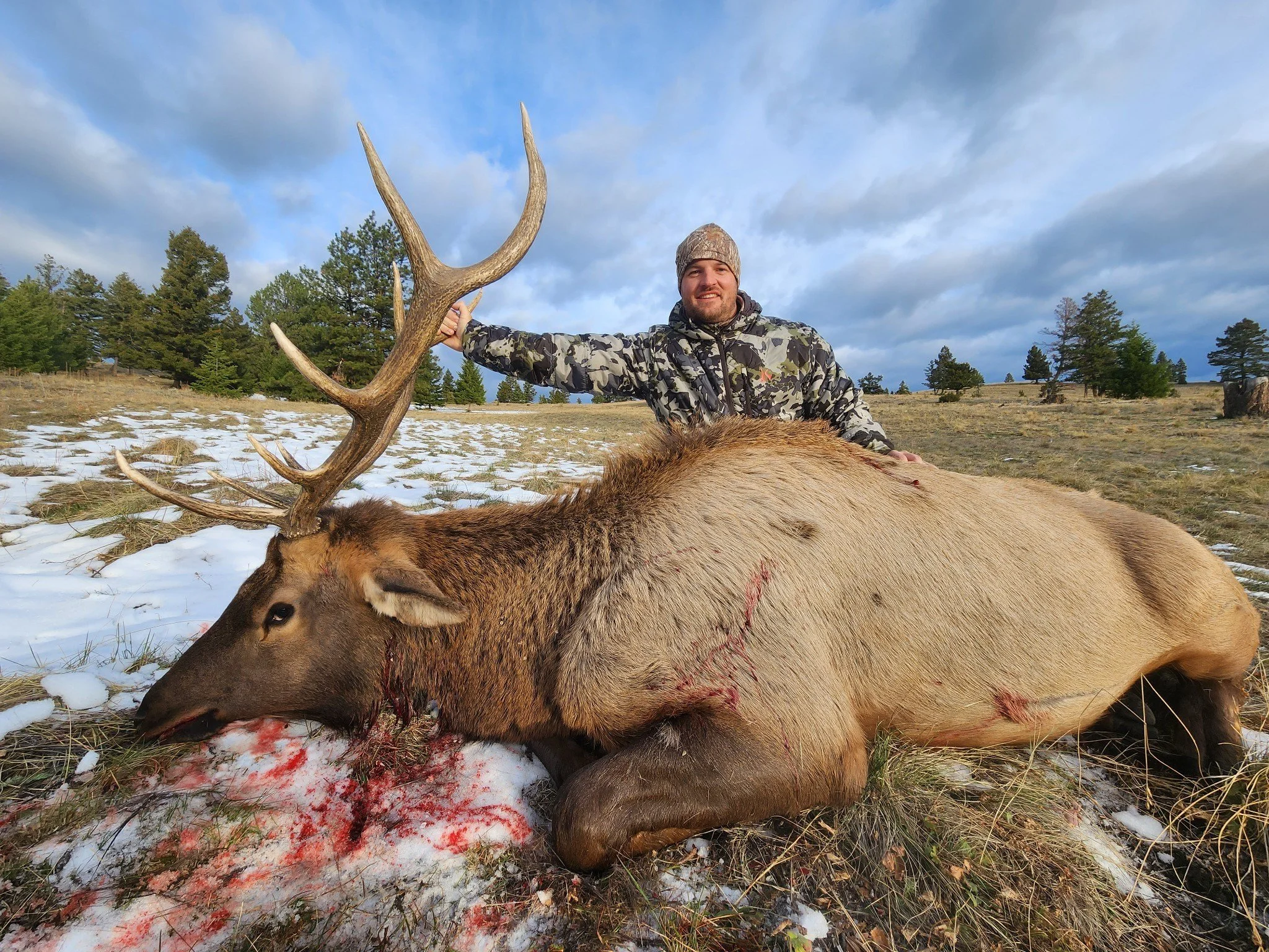 image000000 2 copy.JPG