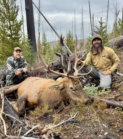 tobacco root mountains elk hunting Montana Guided Hunts & Big Game at Elk Ridge Outfitters Rifle Elk Hunting & Antelope