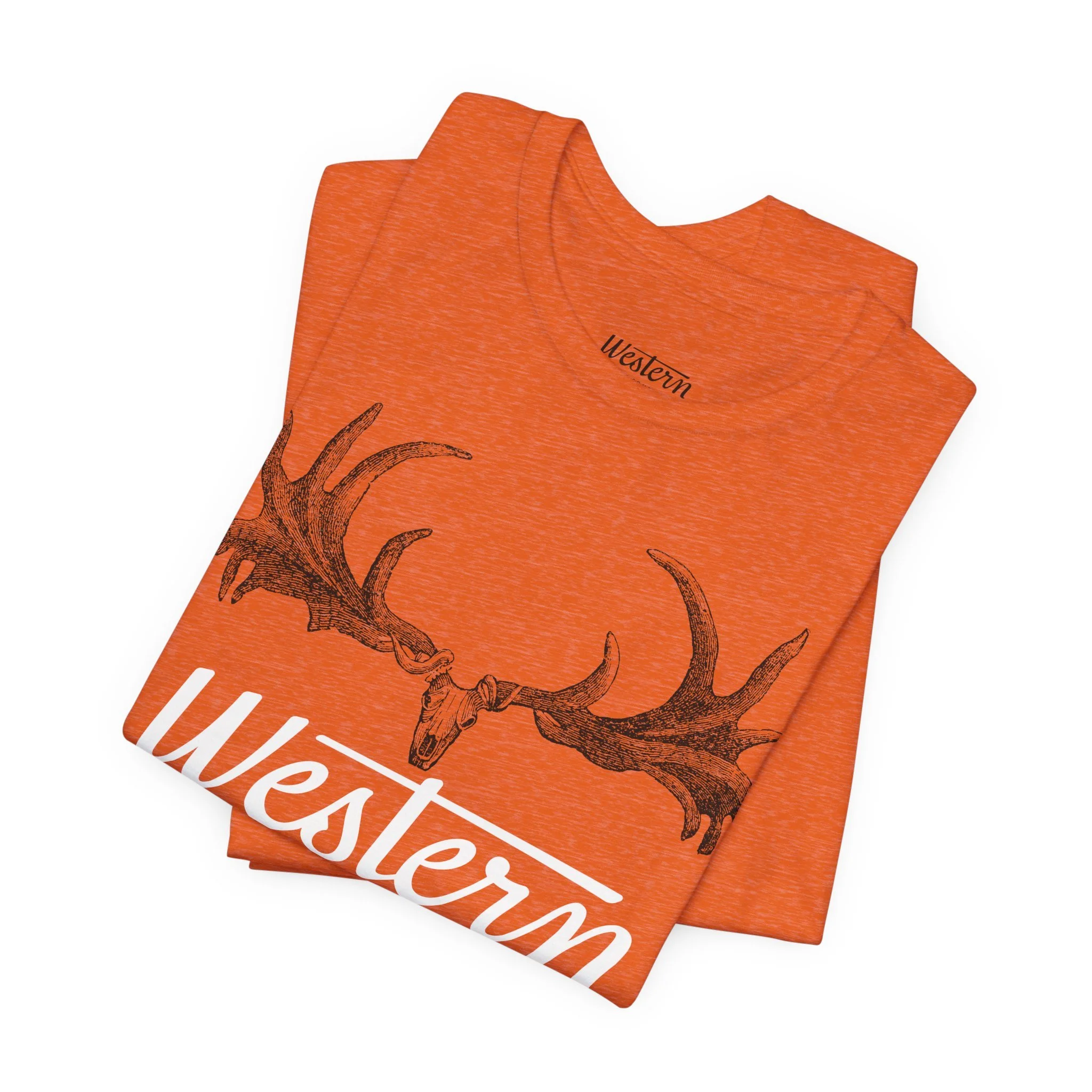 0c661595049b5632754e653918733e8a