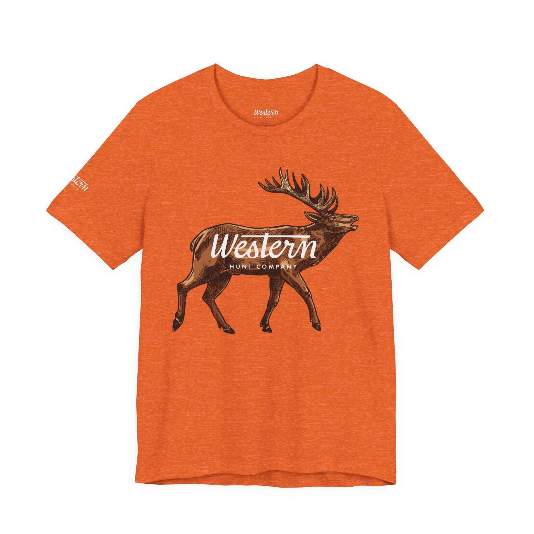 0e6e56866a1e0944c811a0c81eb8941e