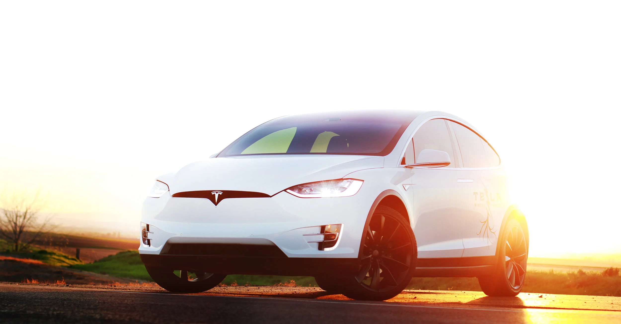 TESLA_19.jpg