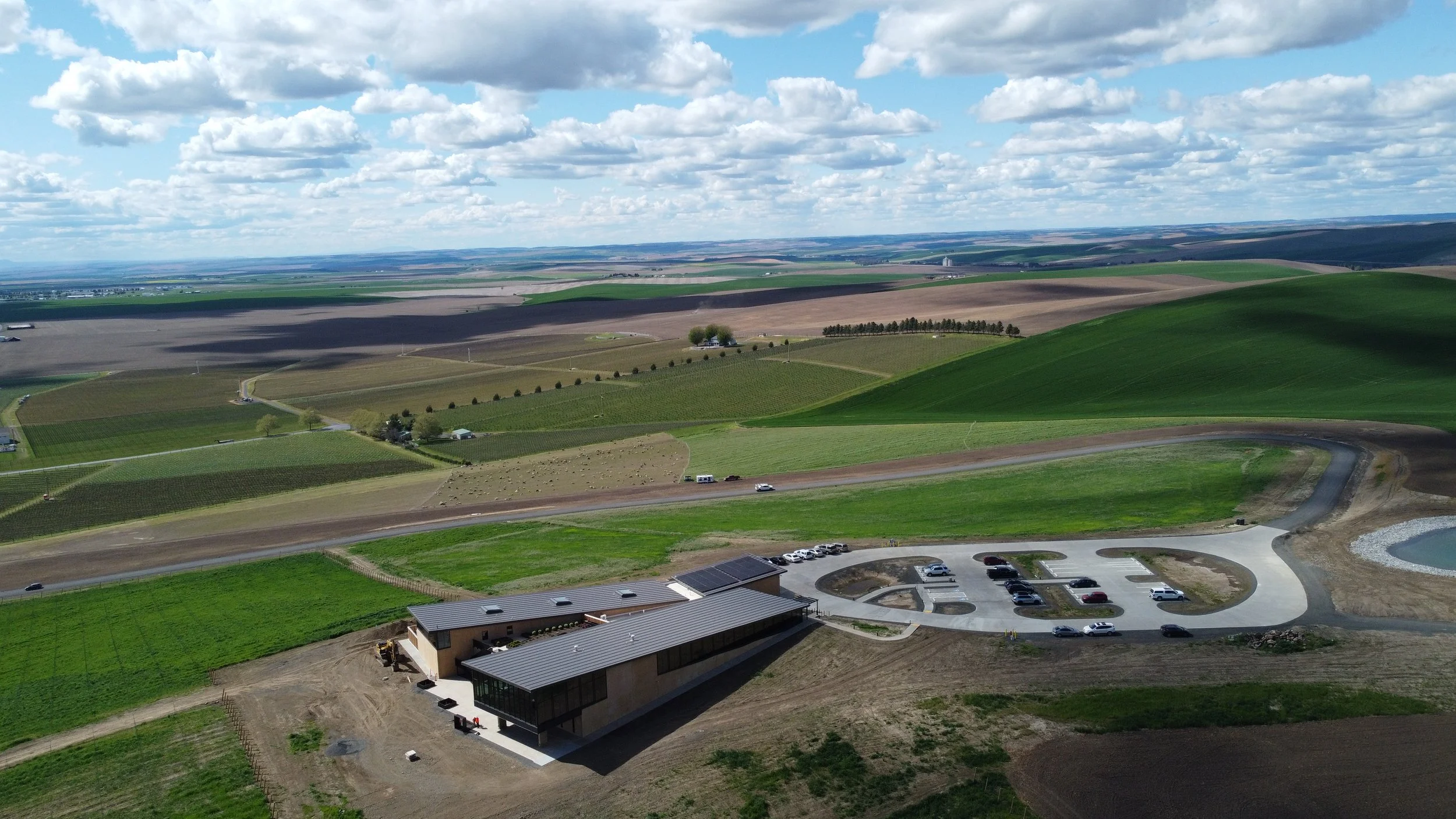 Uncorking the Experience: How to Make the Most of Your Private Wine Tour