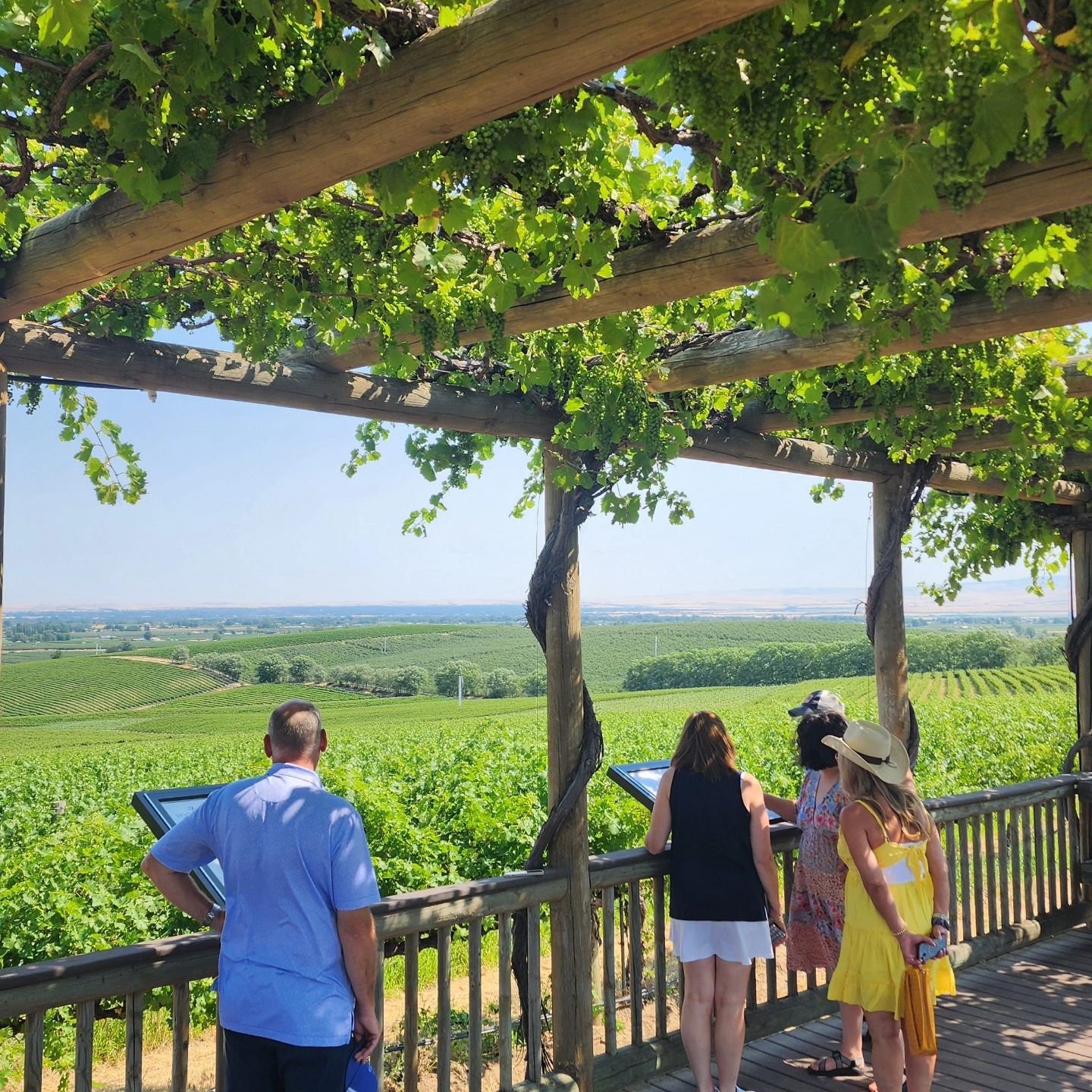 Understanding the vines leads to deeper appreciation of the wines 🍇

#wallawalla 
#vineyardviews
#redredwine 
#teslawinerytours