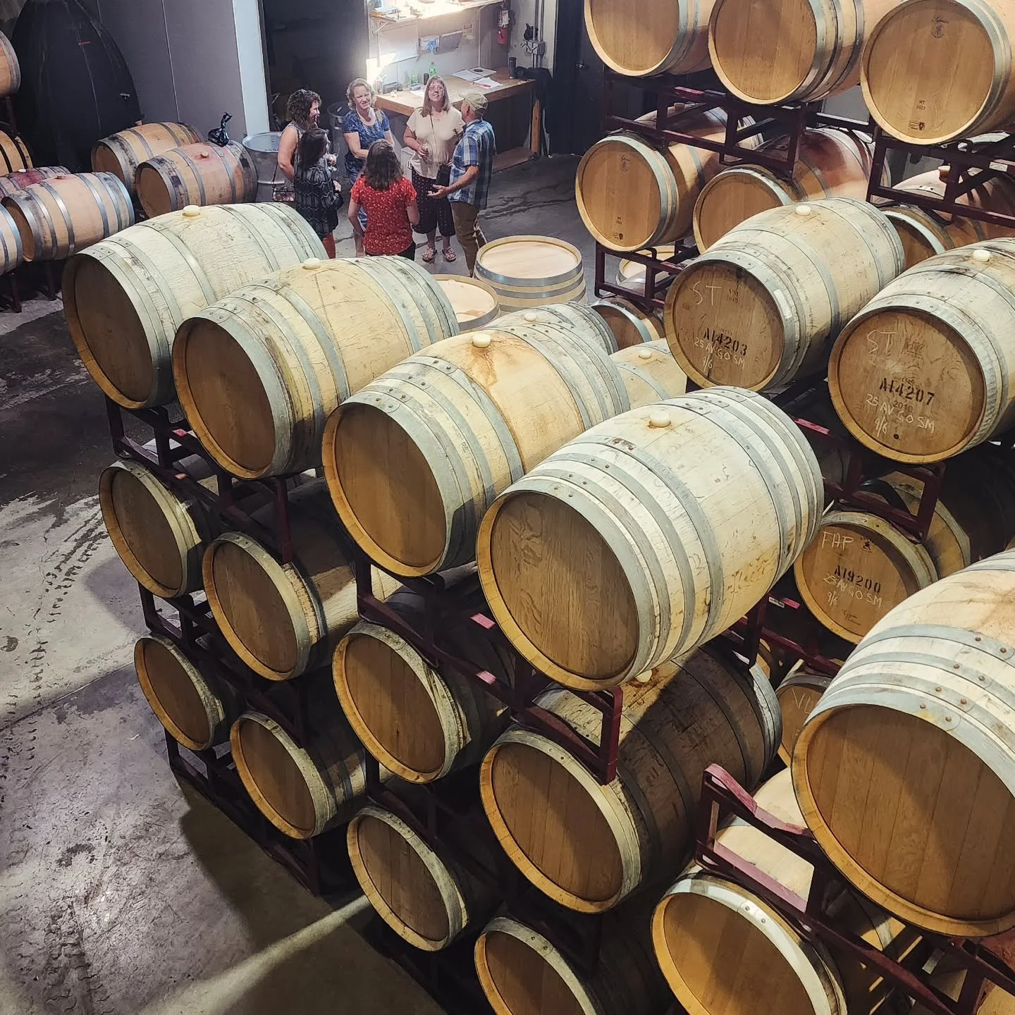 If there's one constant in life, it's a passionate winemaker who can't stop sharing their love of the craft

#wallawalla 
#wawine
#harvest2025
#crushit
#dowhatyoulove
#teslawinerytours