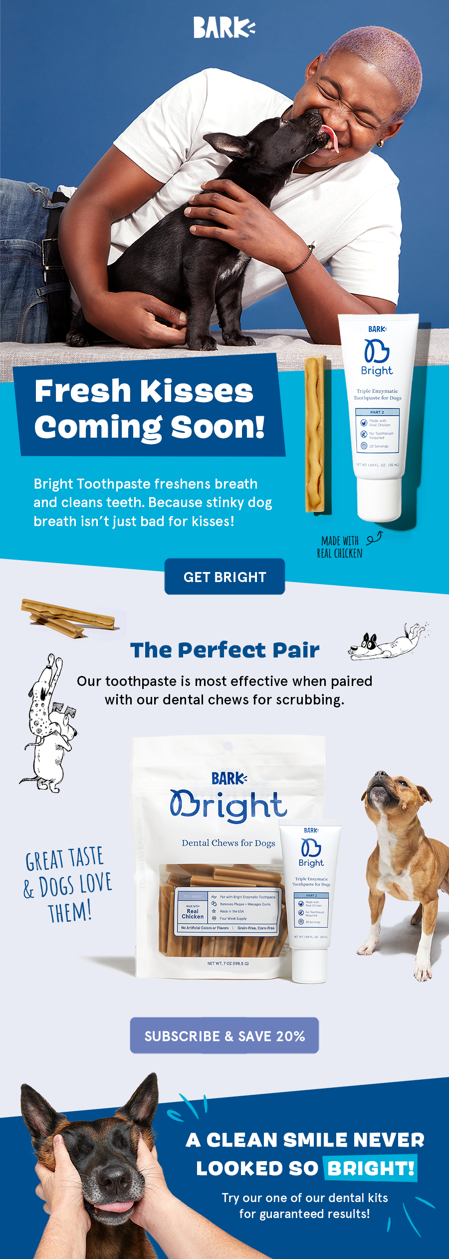 092623_BARK_Dental_V1 copy.png