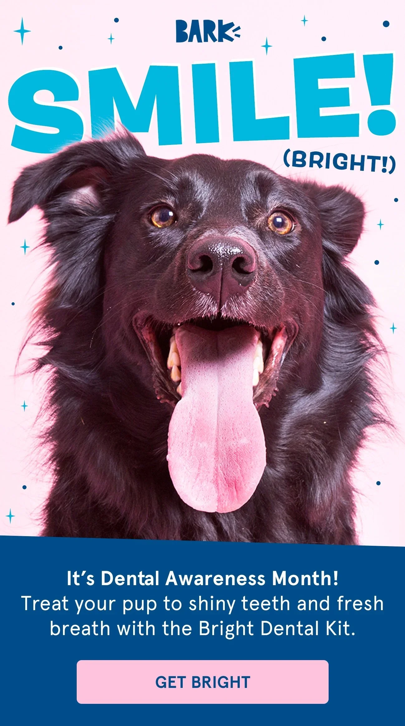 020224-Dental-Health-Month-v3+copy.webp