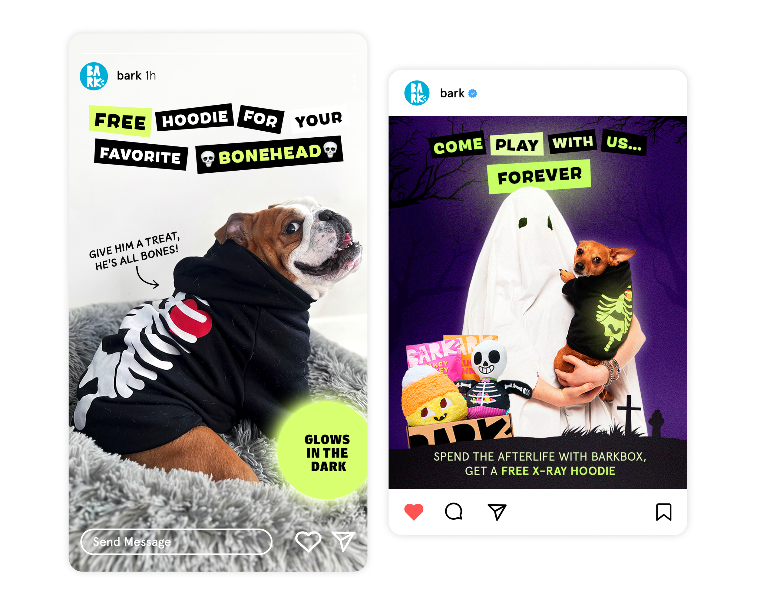 Skeleton Hoodie Creative.png