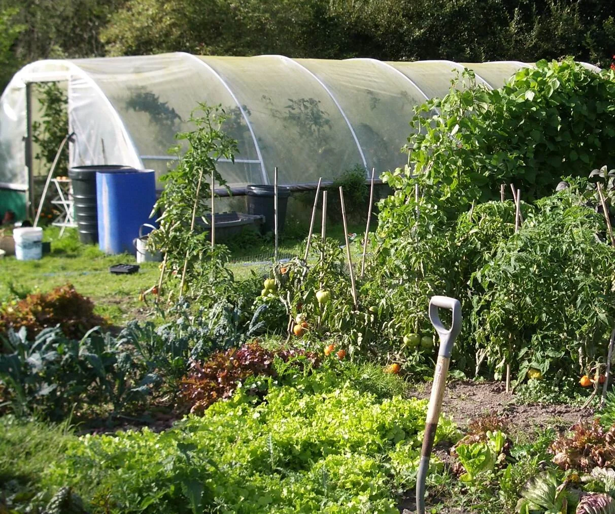 2005 - A Good Season