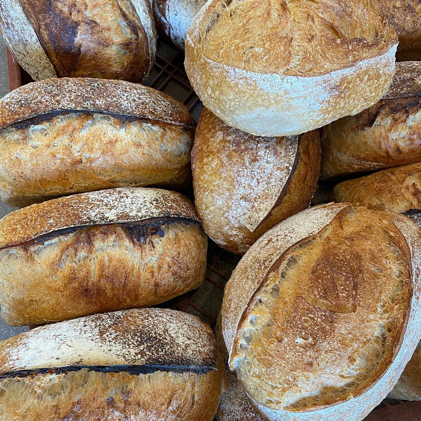 Lots of lovely fresh bread today. 

This, with some salad and @nettlebedcheese it&rsquo;s all you need!