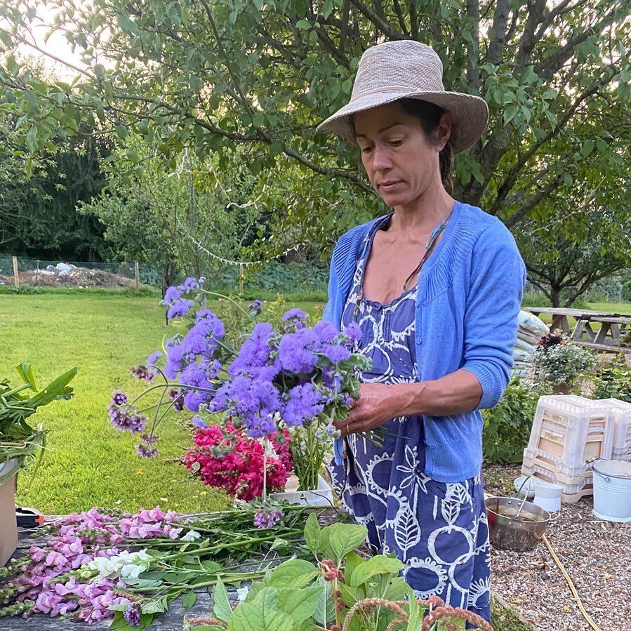 Coordinating fashion and flora tonight @bosleypatch 🤣

My beautiful sister conditioning some flowers this evening that we brought home by the light of the moon. 
Early up in the morning again to get things picked. 
It is better to pick in the mornin