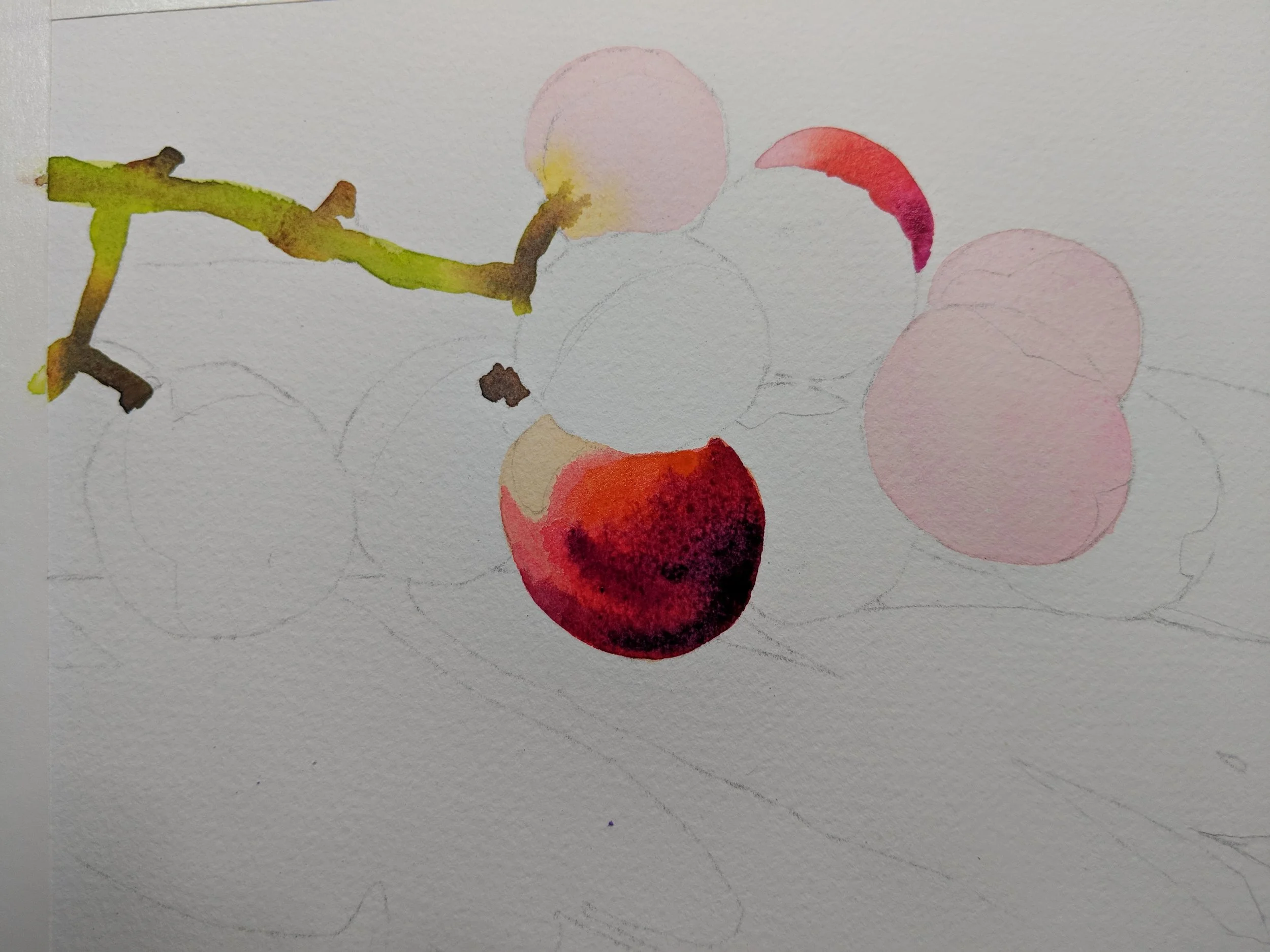Drop in dark colors while a grape shape is wet, also soften edges as needed while the shape is wet.