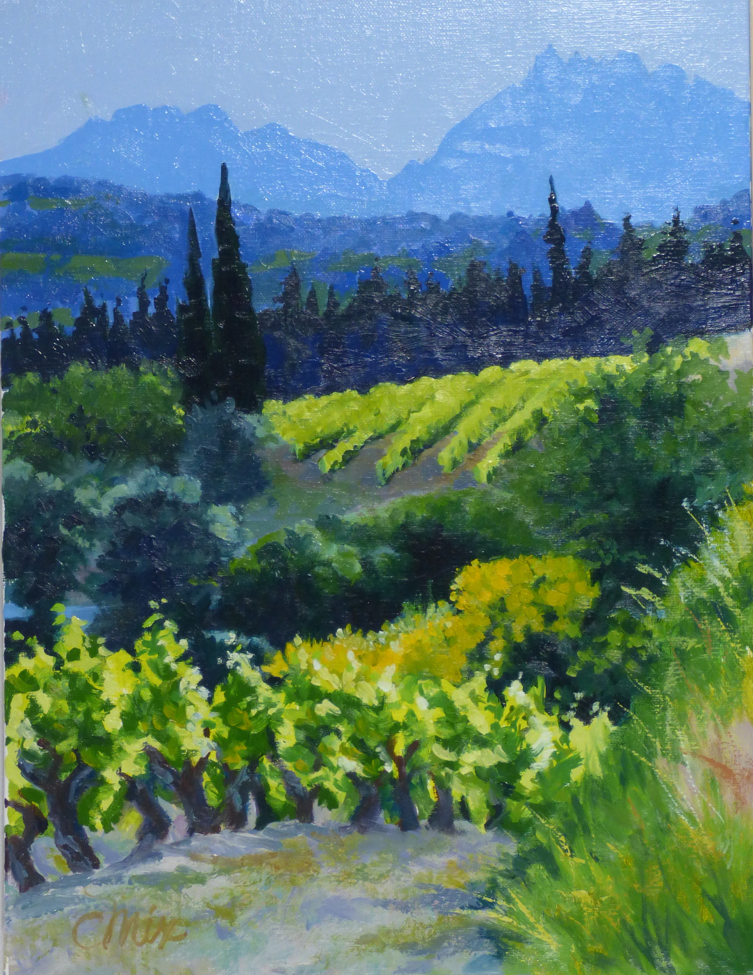 Spring Vinyard in Provence 2.jpg