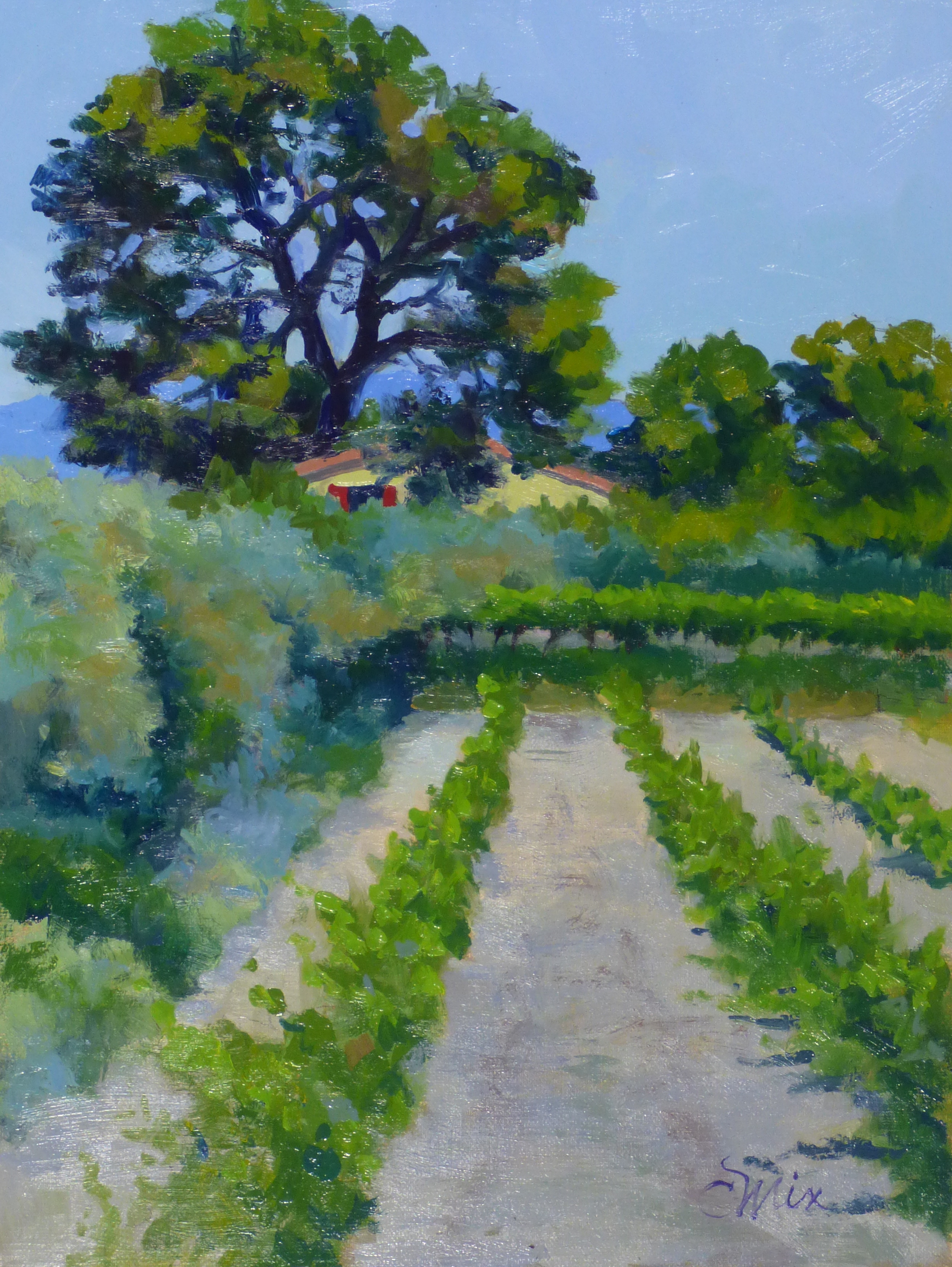 Spring Vinyard in Provence.jpg