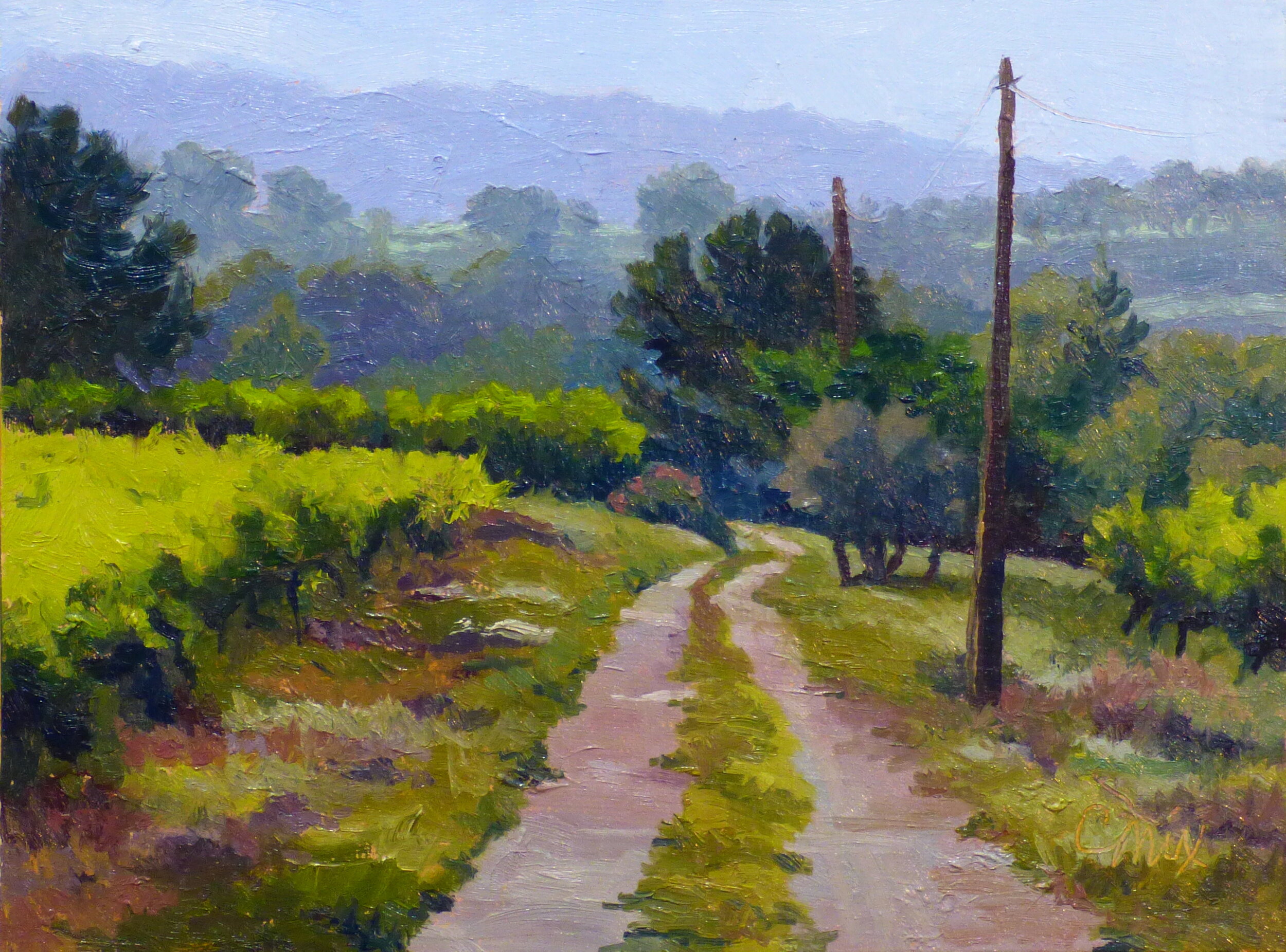 Road in Provence (After Ian Robert's photo)  $400