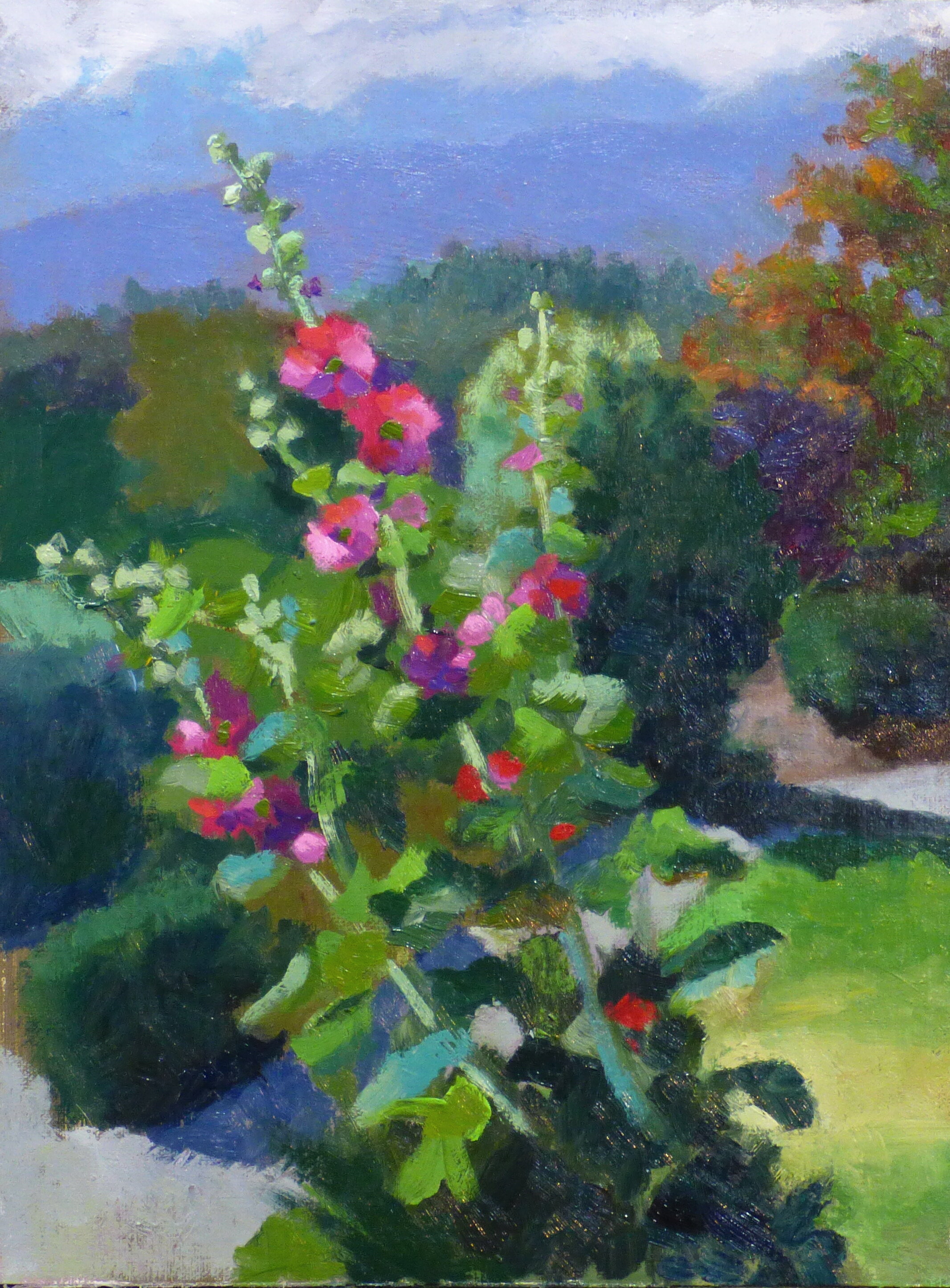 Hollyhocks before Olympic Mountains  $200