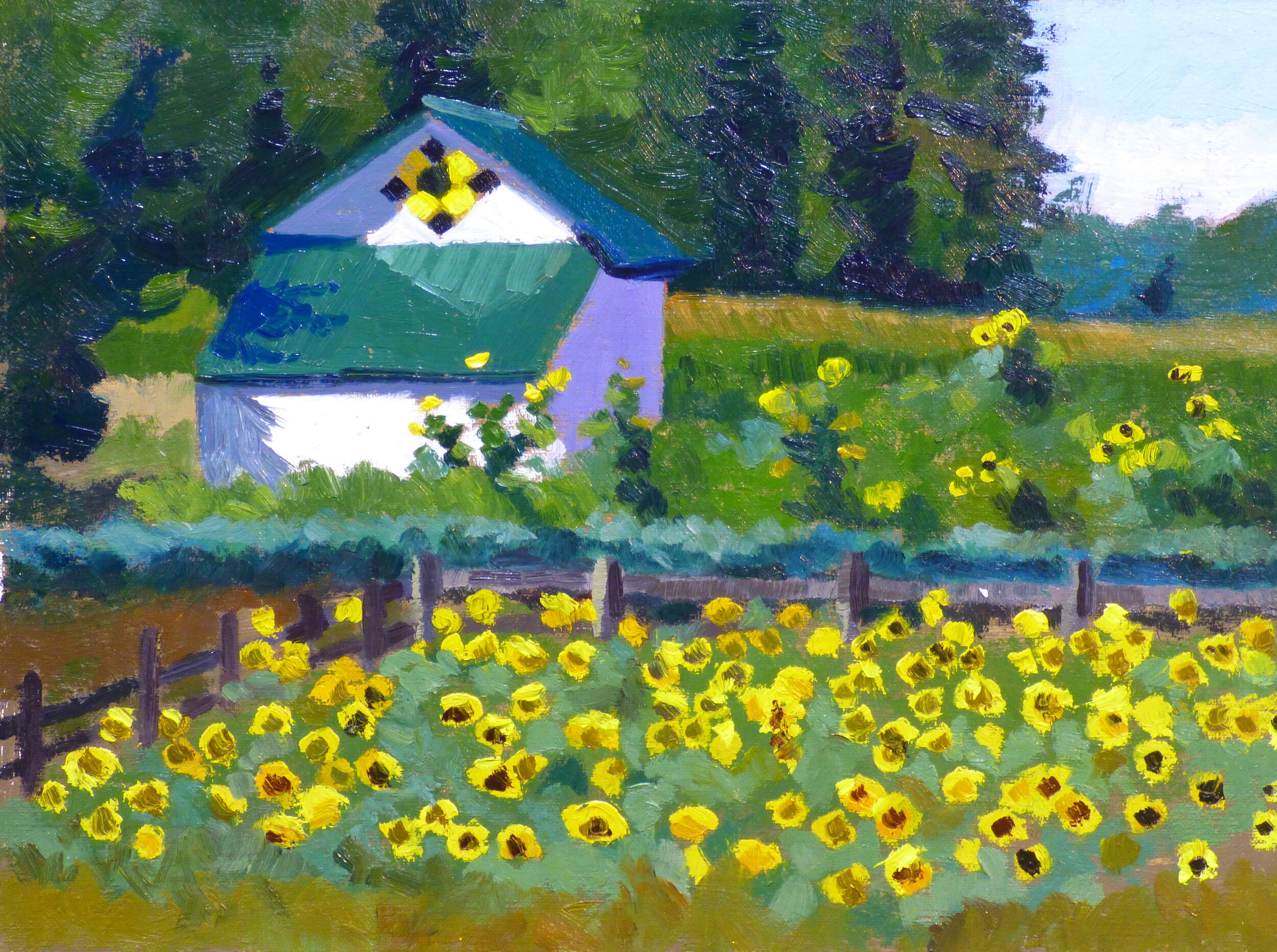 Field of Sunflowers for the chickens  $250