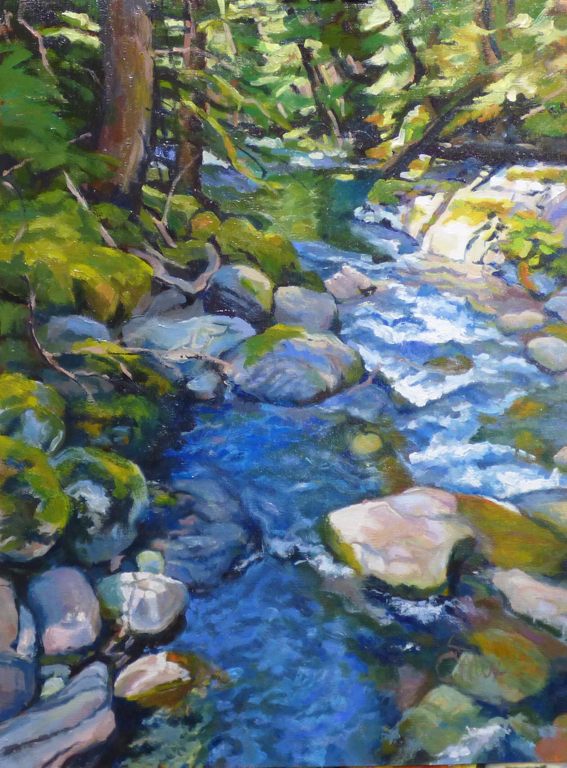Dungeness River in Summer  $380