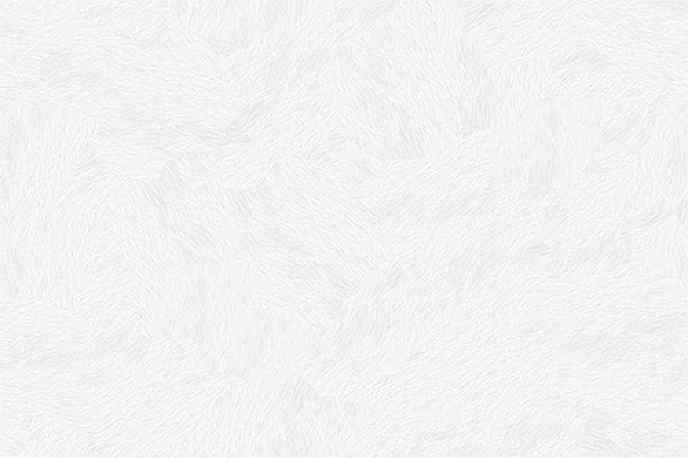 subtle_white_feathers_@2X.png