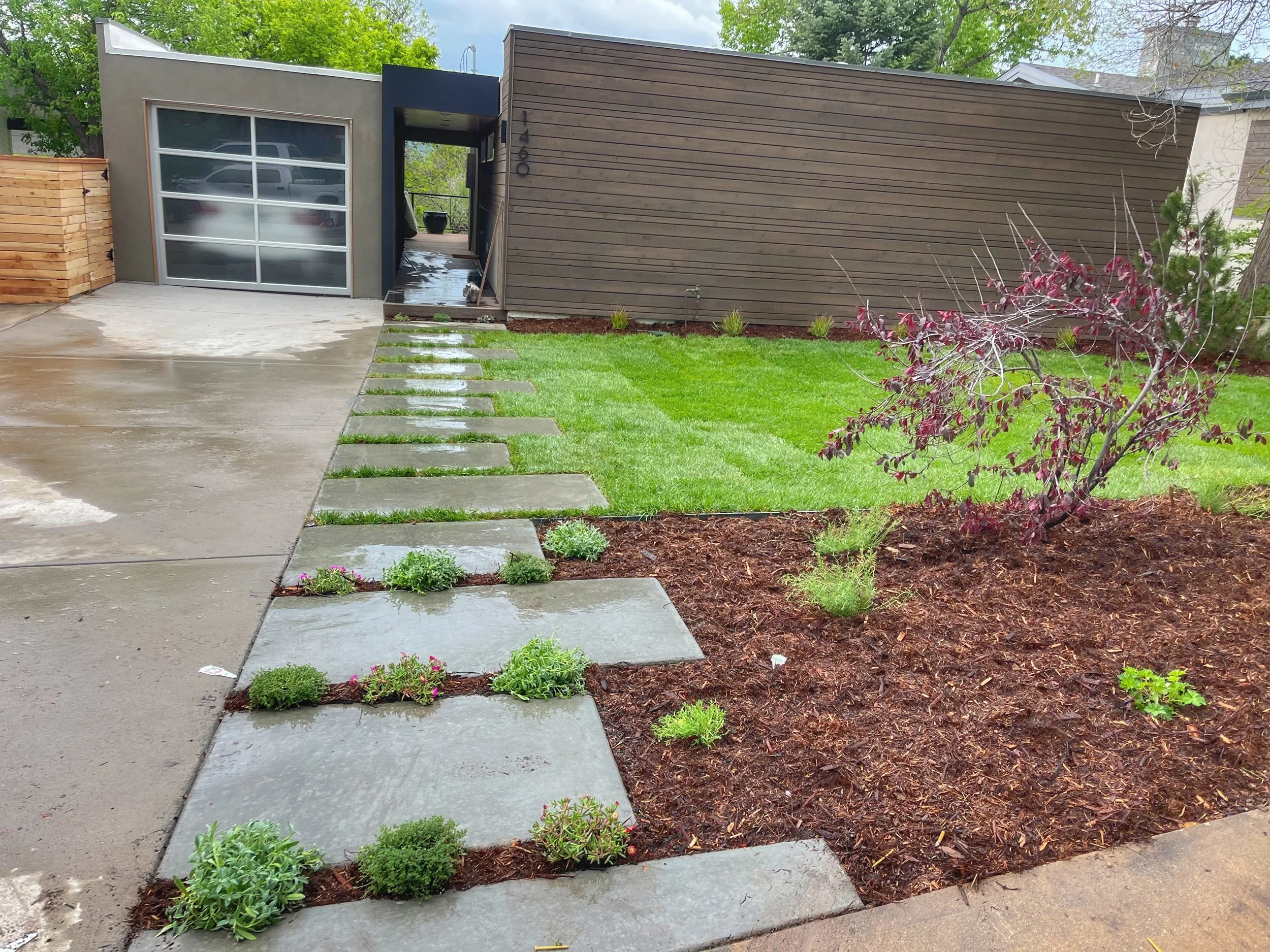custom concrete walkway with sod installation