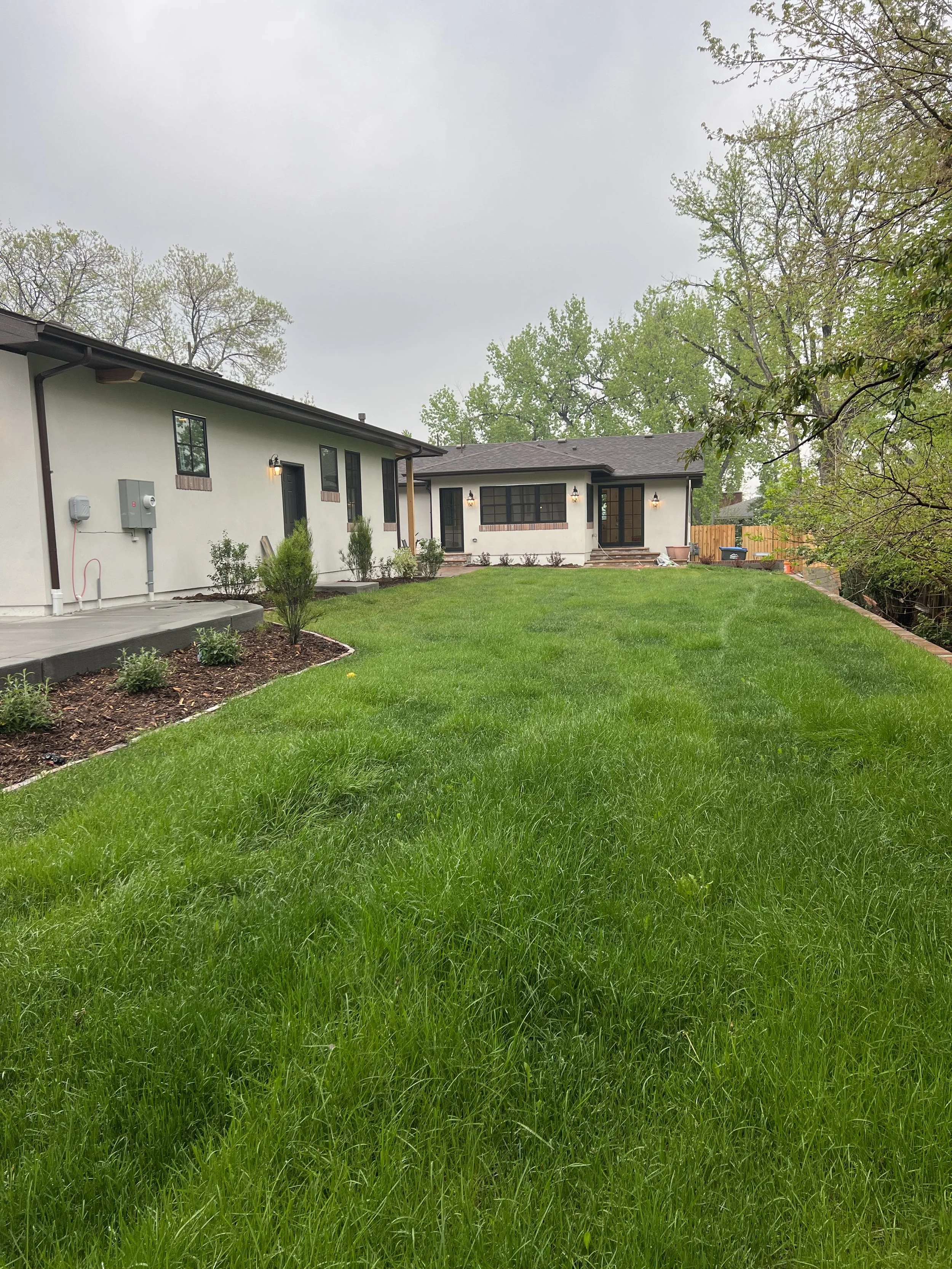 new grass and surrounding garden