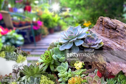 natural look wedding flowers
