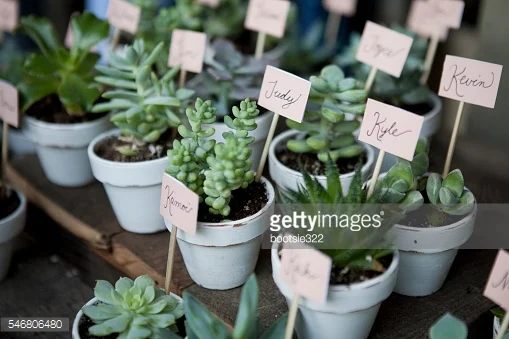 flower pot arrangement 