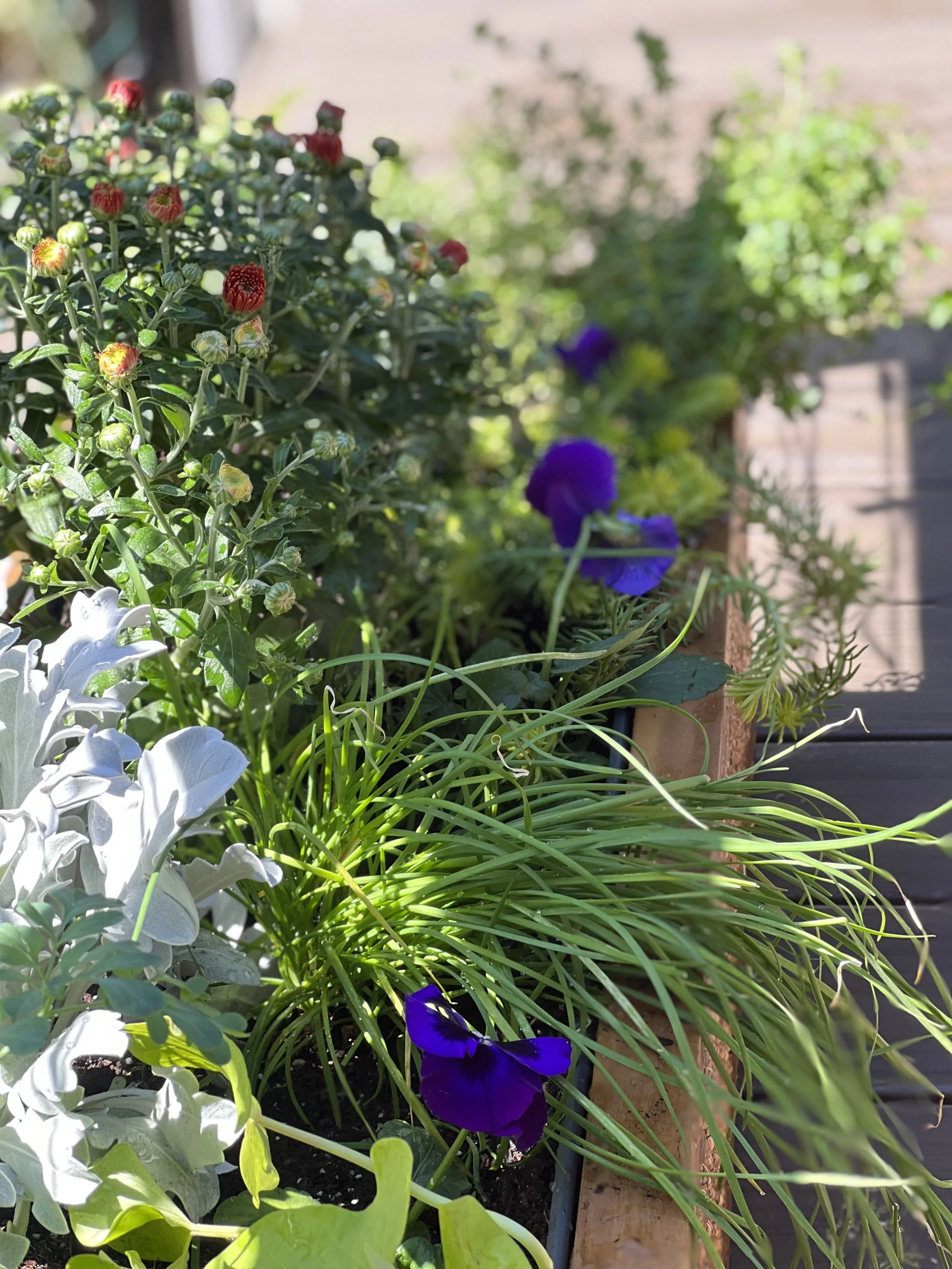 colorful flower arrangement 