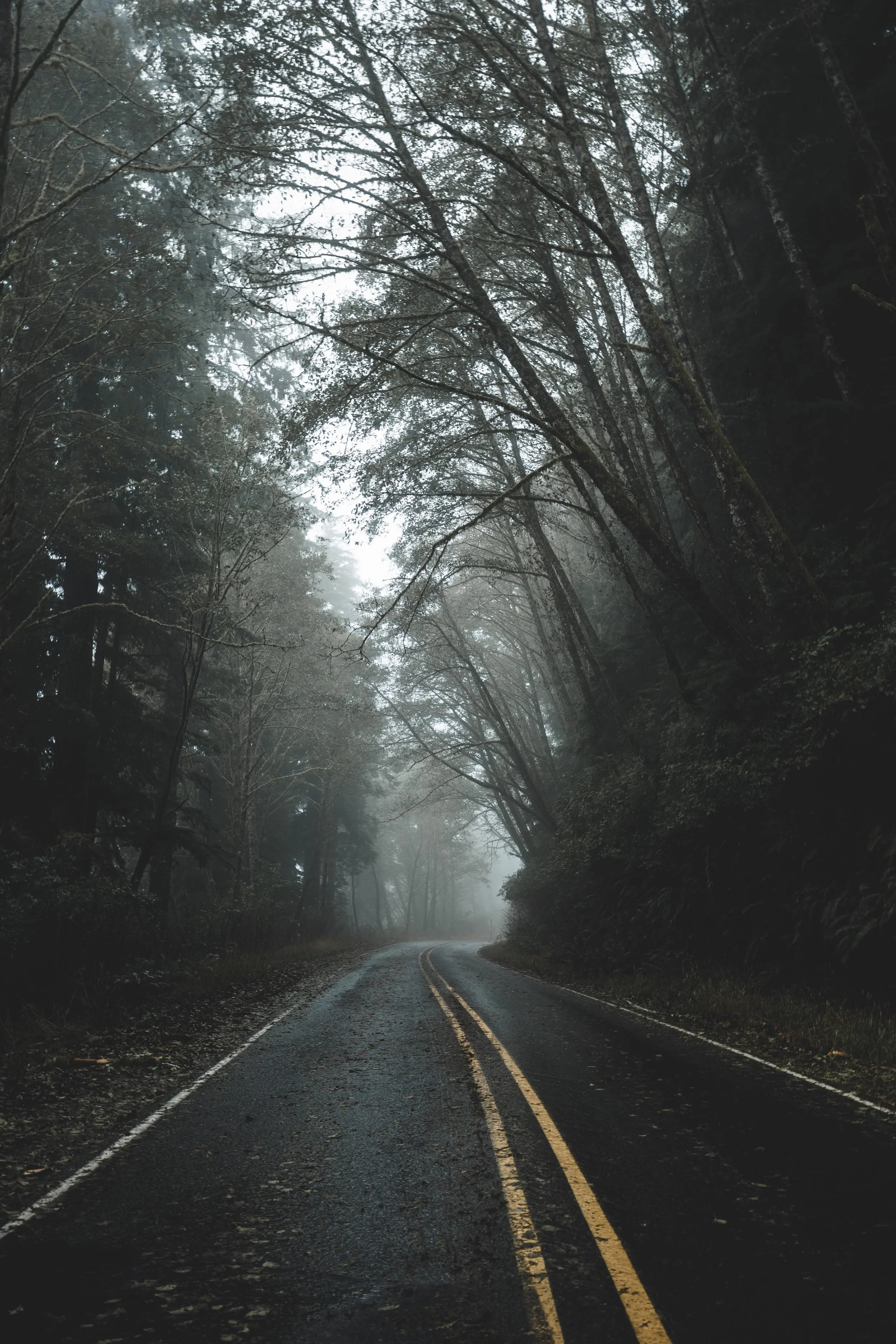 The road to hipster world