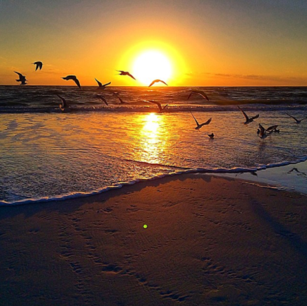 Sanibel Island, FL, a natural attraction MLive.com