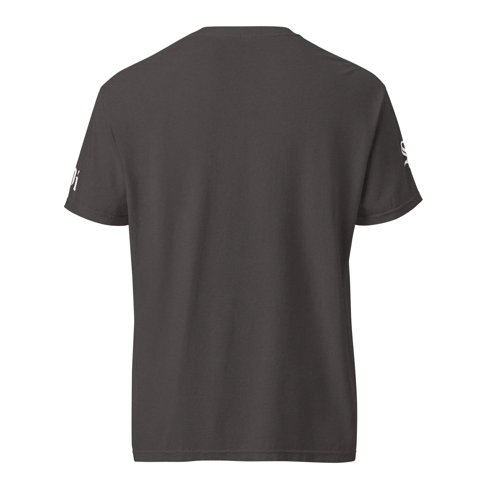 unisex-garment-dyed-heavyweight-t-shirt-graphite-back-68abde0ce6470.jpg