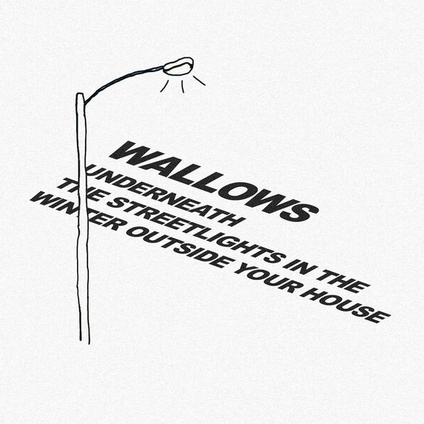 Wallows: Underneath The Streetlights In The Winter Outside Your House