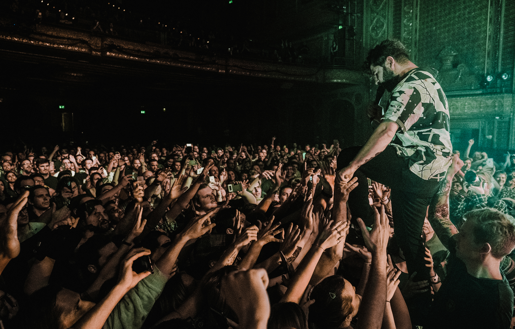 Foals (by Chris Miller)