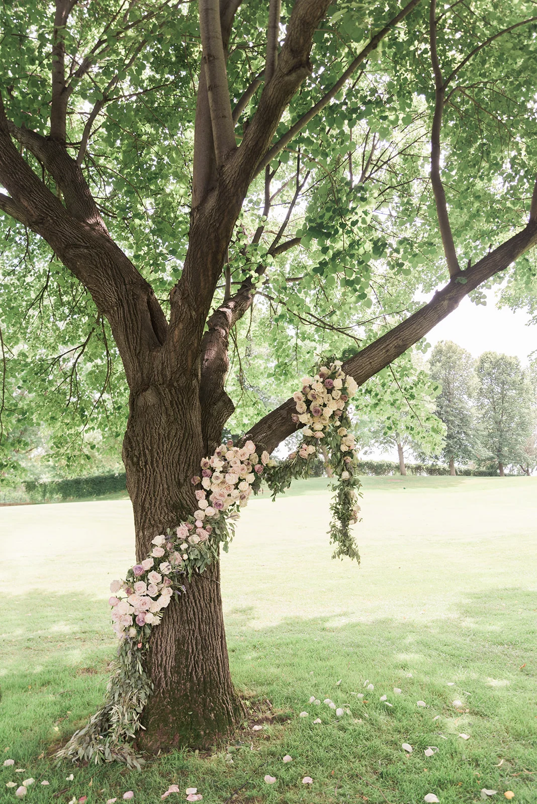 MariahdelichphotoJune_29__2019_3041.jpg