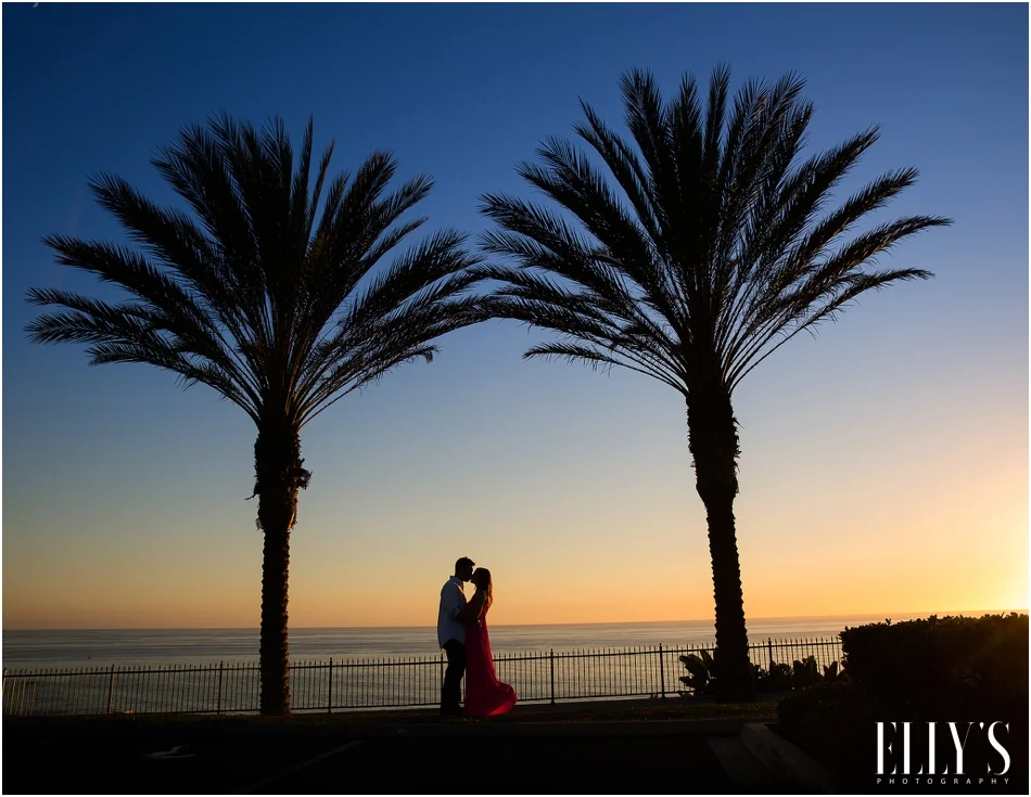 014Los Angeles Engagement