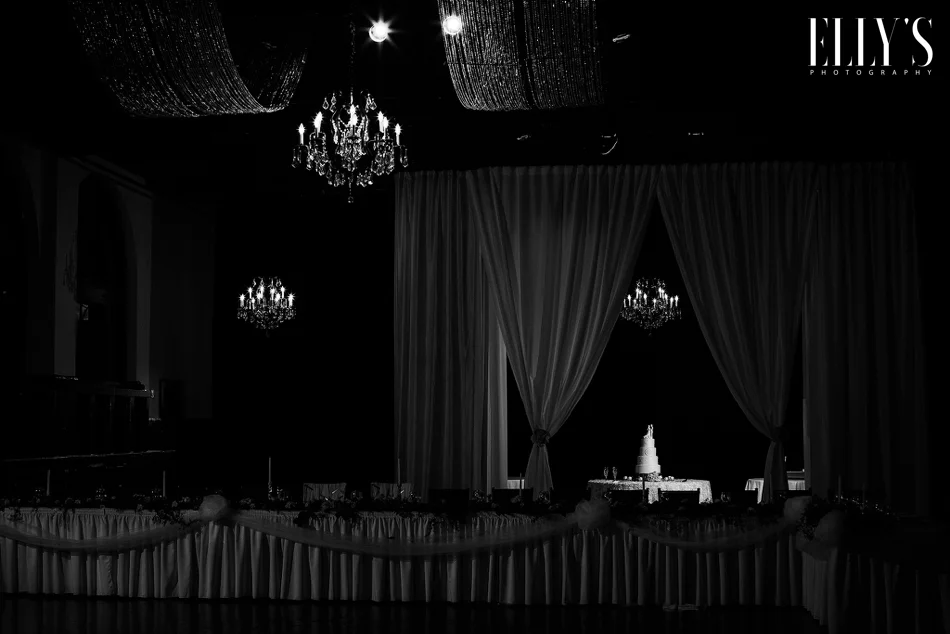 Millennium Center Wedding with Wake forest alumni