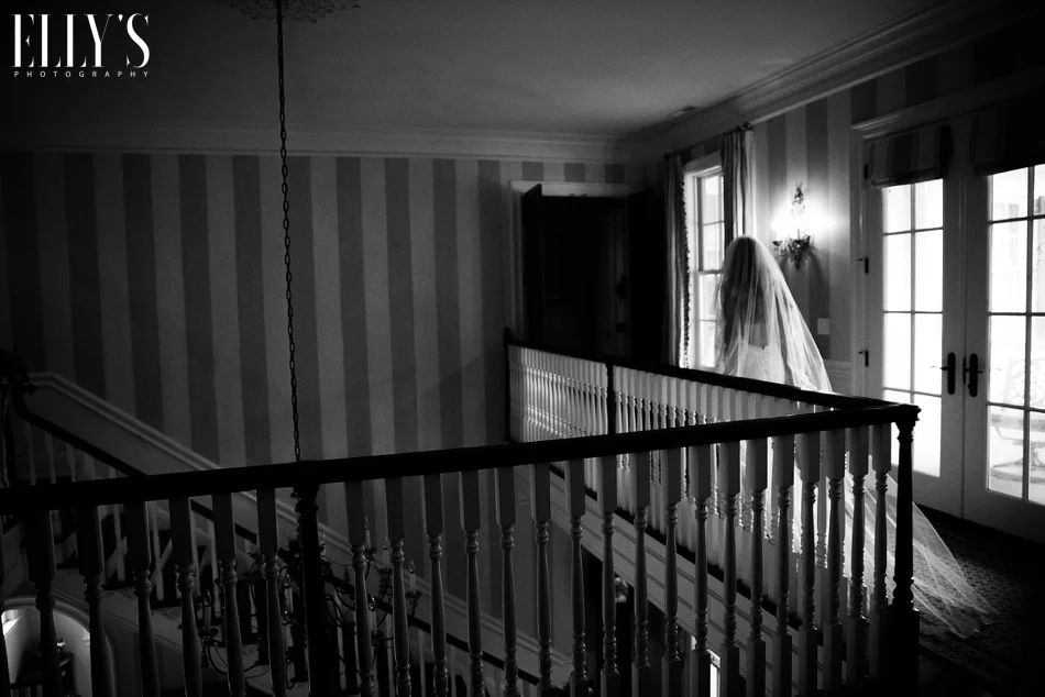 www.ellysphotography.com