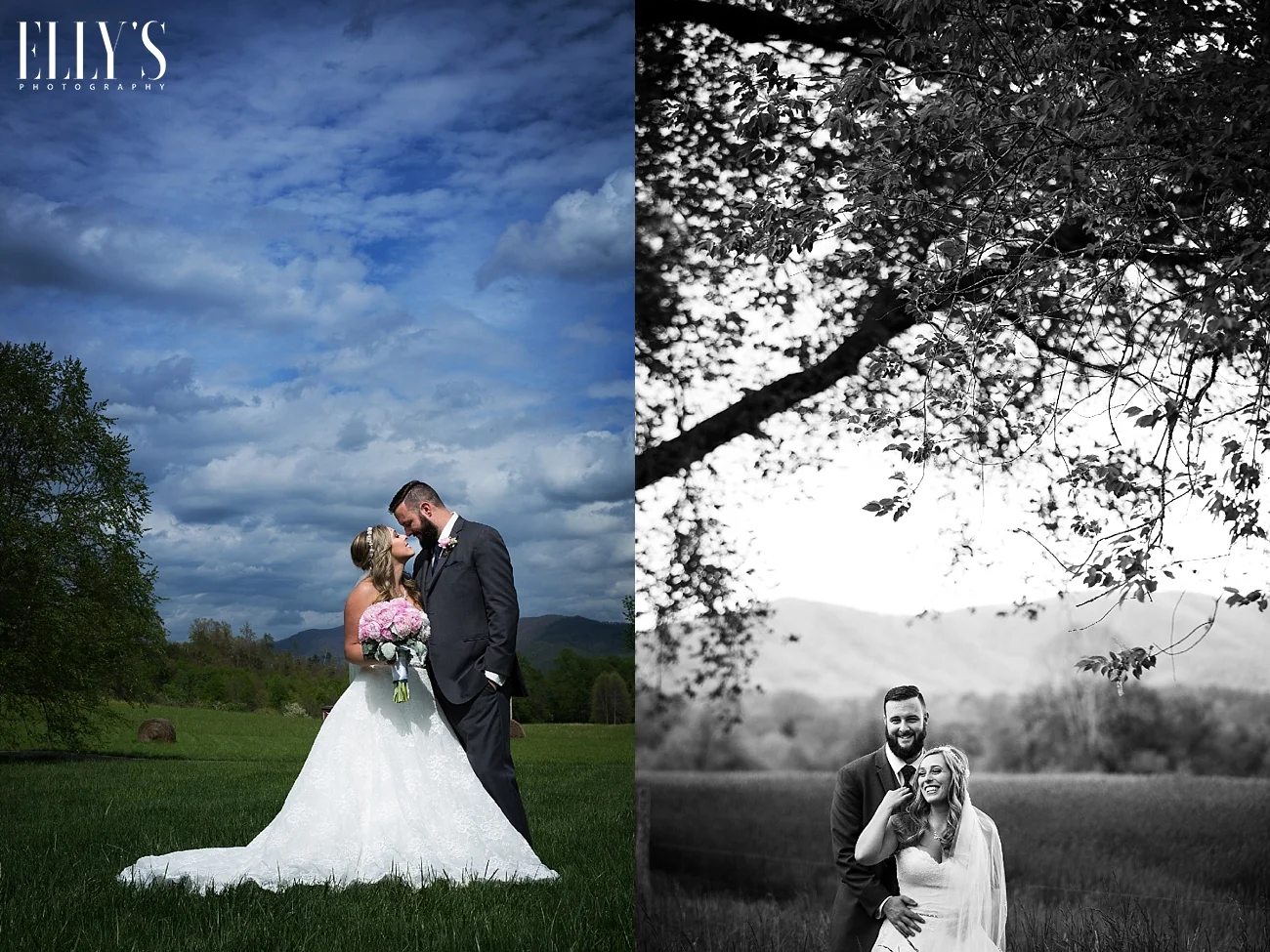 www.ellysphotography.com