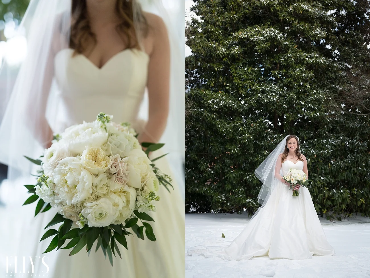 www.ellysphotography.com