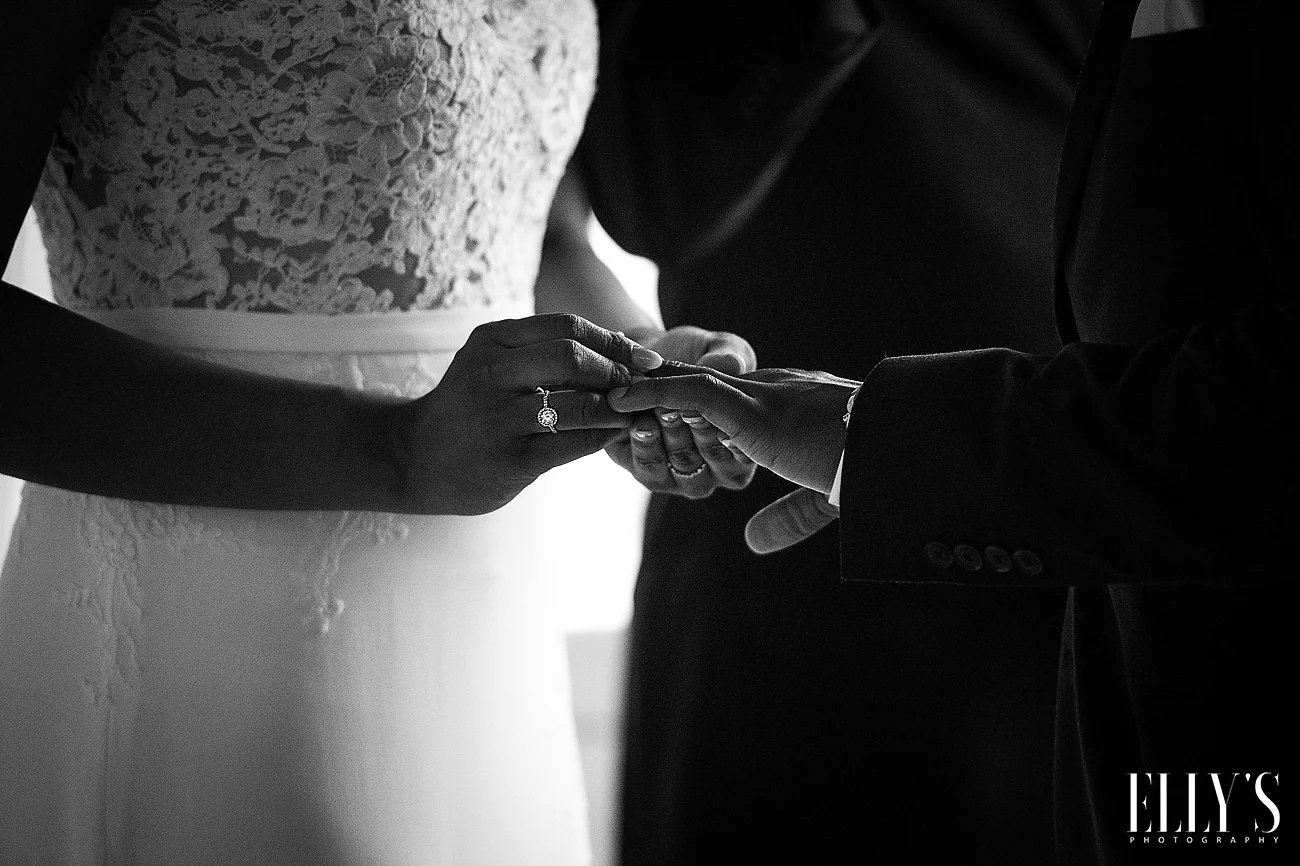www.ellysphotography.com