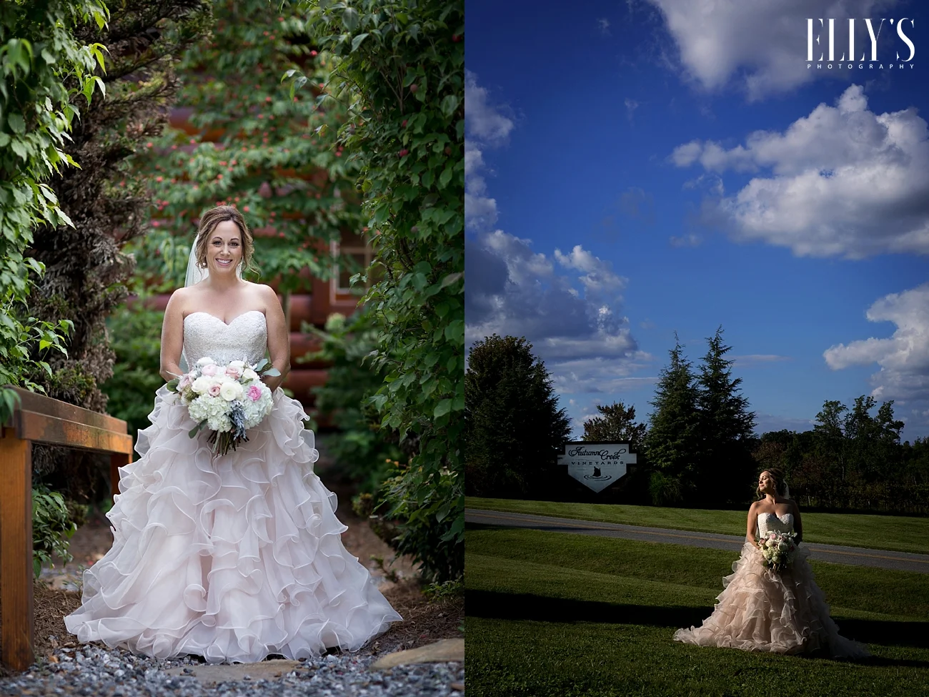 www.ellysphotography.com