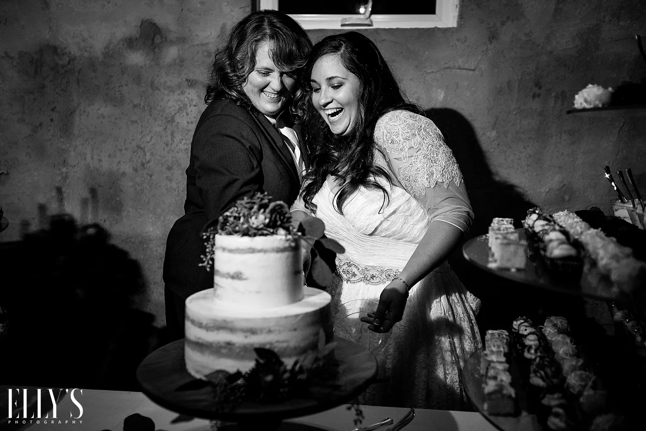 www.ellysphotography.com