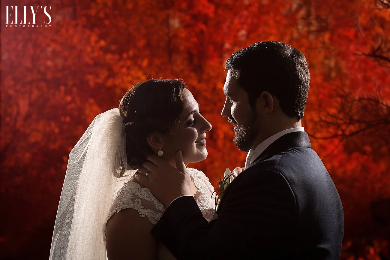 www.ellysphotography.com