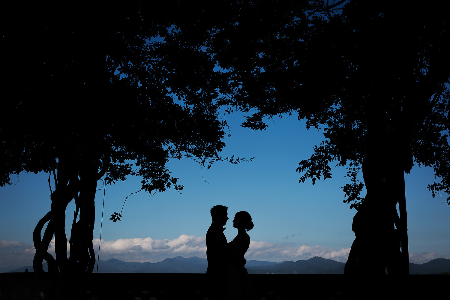 066bride-groom-silhouette.jpg