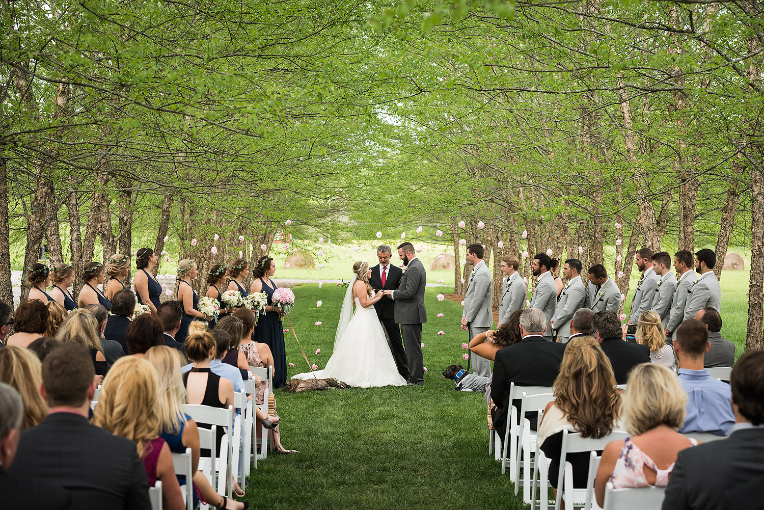 111mcguire-millrace-farm-wedding.jpg