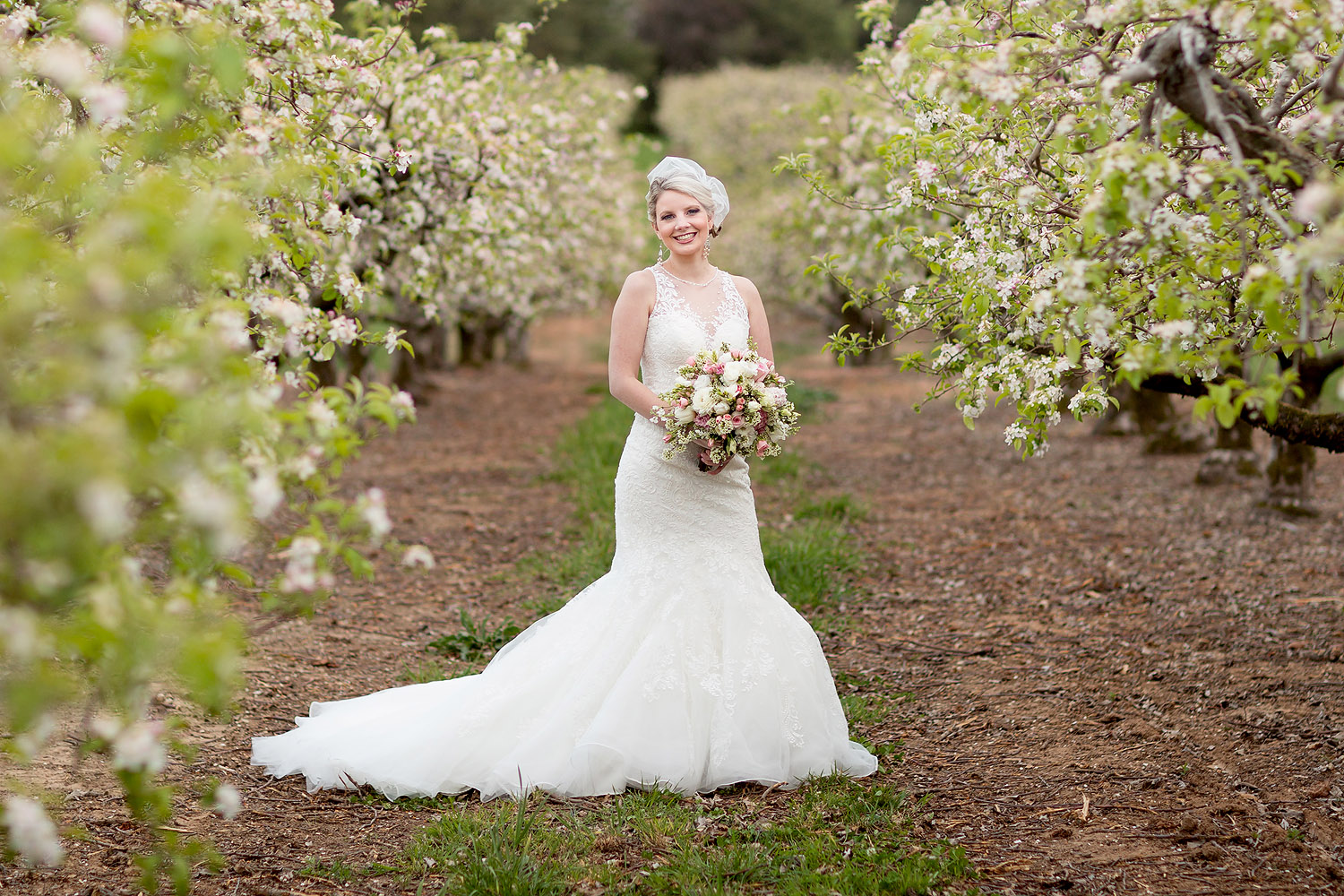 123carrigan-farms-bridal-portrait-trees-bloom.jpg