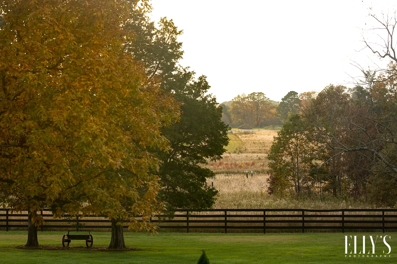 www.ellysphotography.com