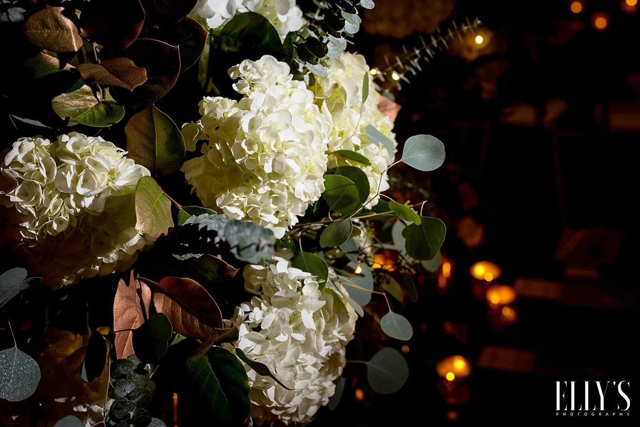 www.ellysphotography.com