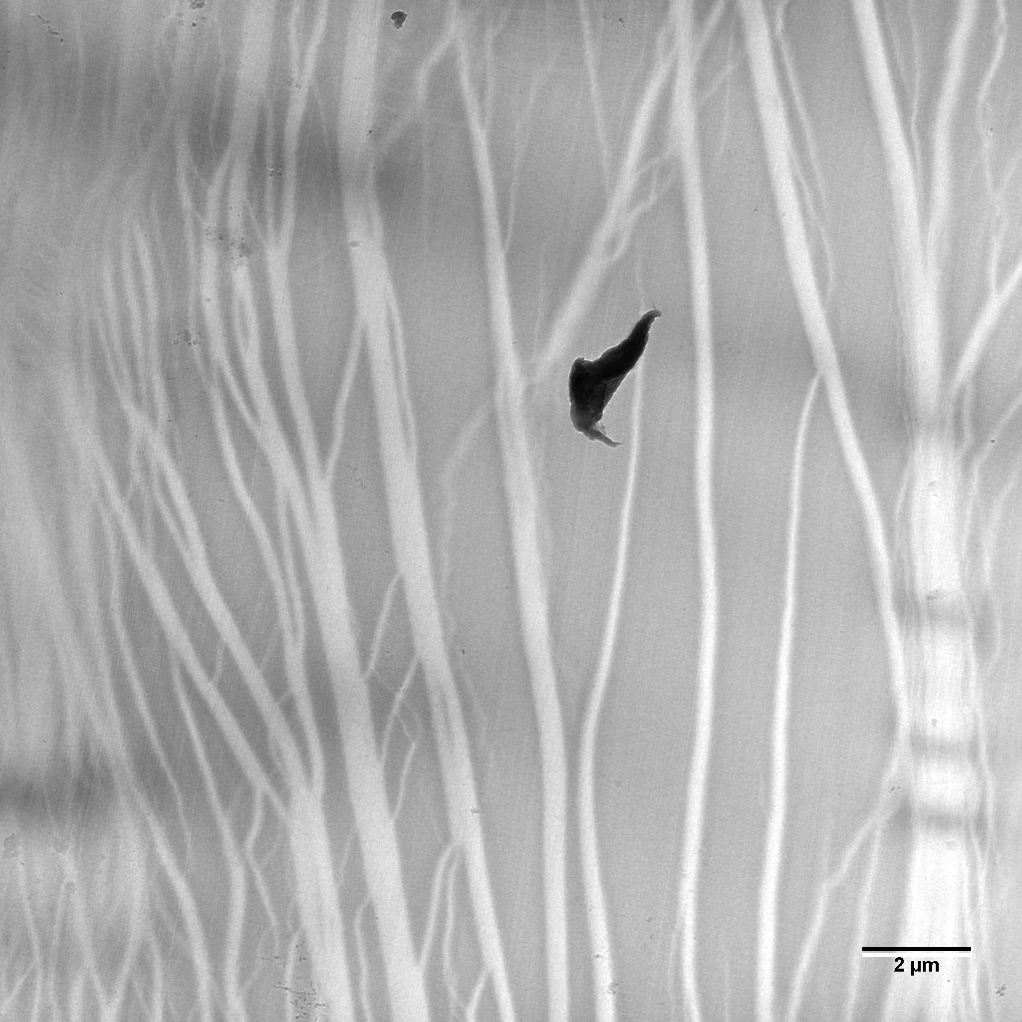Cracks in Epoxy Film TEM.jpg
