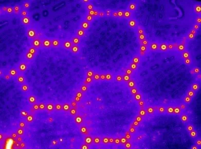 controlled dewetting using TEM grid2.jpg