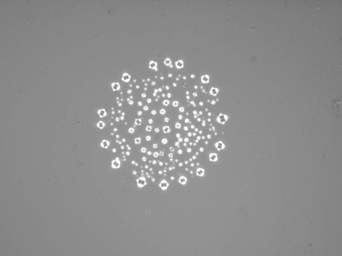 PS_onPDMS_dewetted-Image.png
